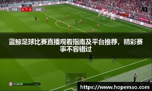 九游会J9
