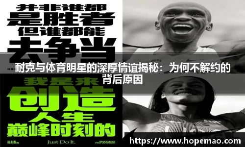 九游会(J9) - 真人游戏第一品牌