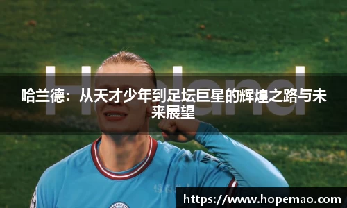 九游会J9