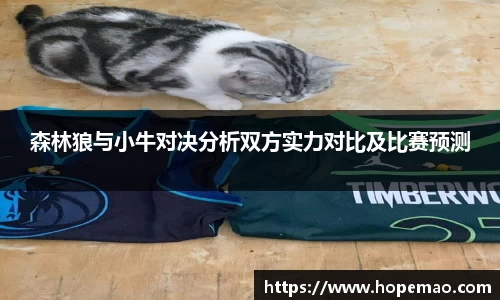 森林狼与小牛对决分析双方实力对比及比赛预测